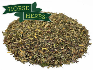 
                  
                    Horse Herbs Respiratory Relief
                  
                