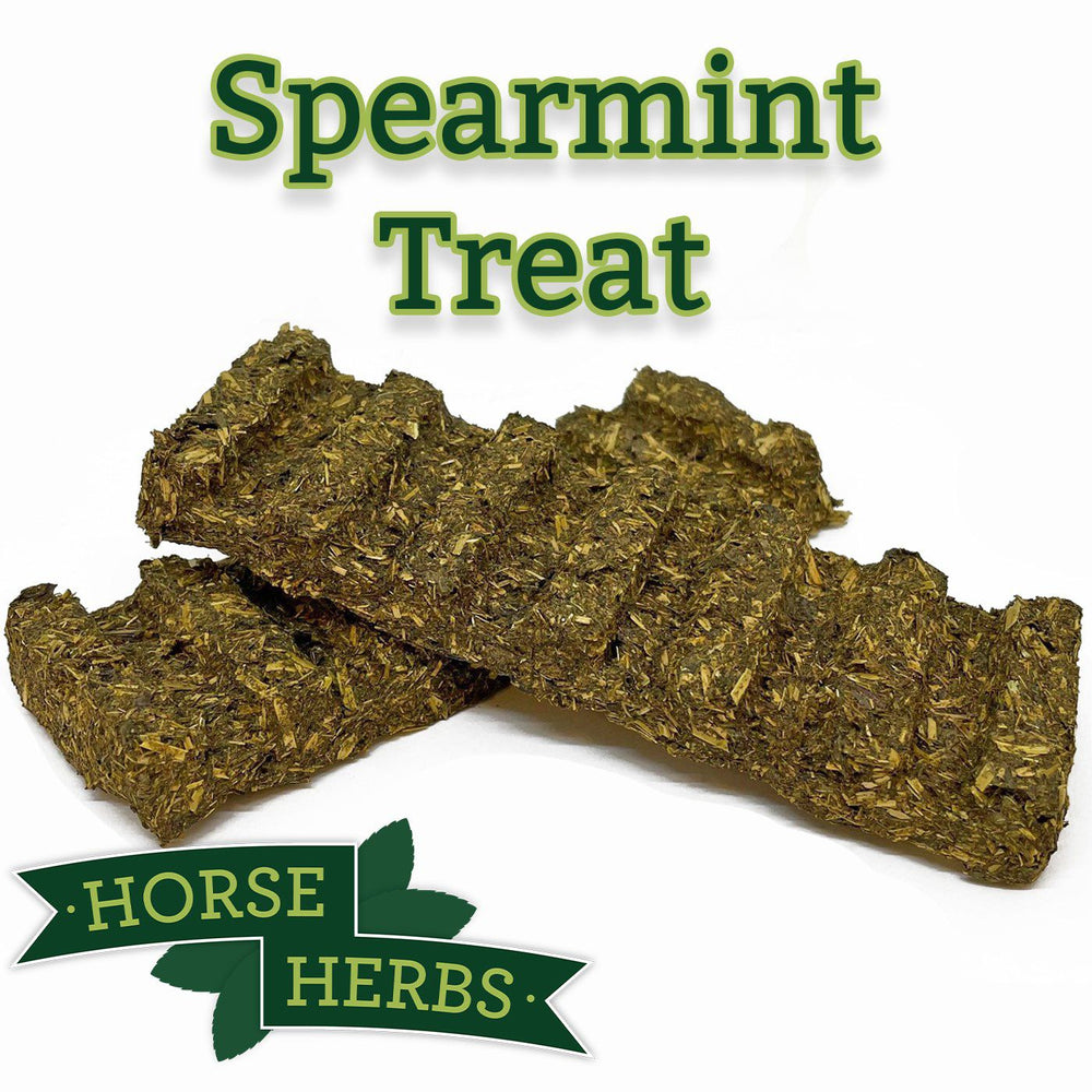 Tasty Horse Treats Horse Herbs UK