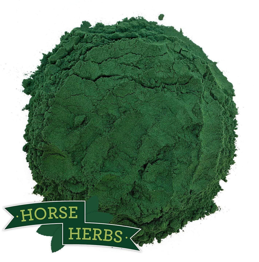Spirulina Superfood Powder Supplement for Horses Horse Herbs