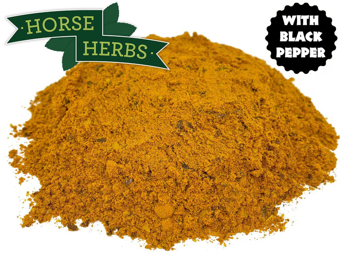 Turmeric PLUS Turmeric for Horses Horse Herbs UK