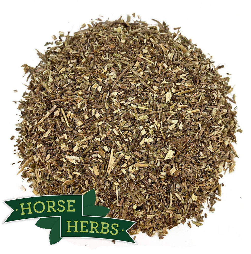 Horse Herbs Vervain