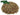 Horse Herbs Vervain